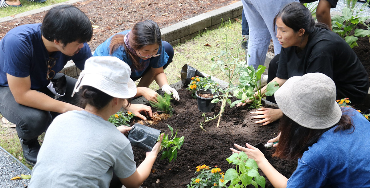 Read more about the article [Activity] At Shma, today we grew our own edible garden at Sharm !
