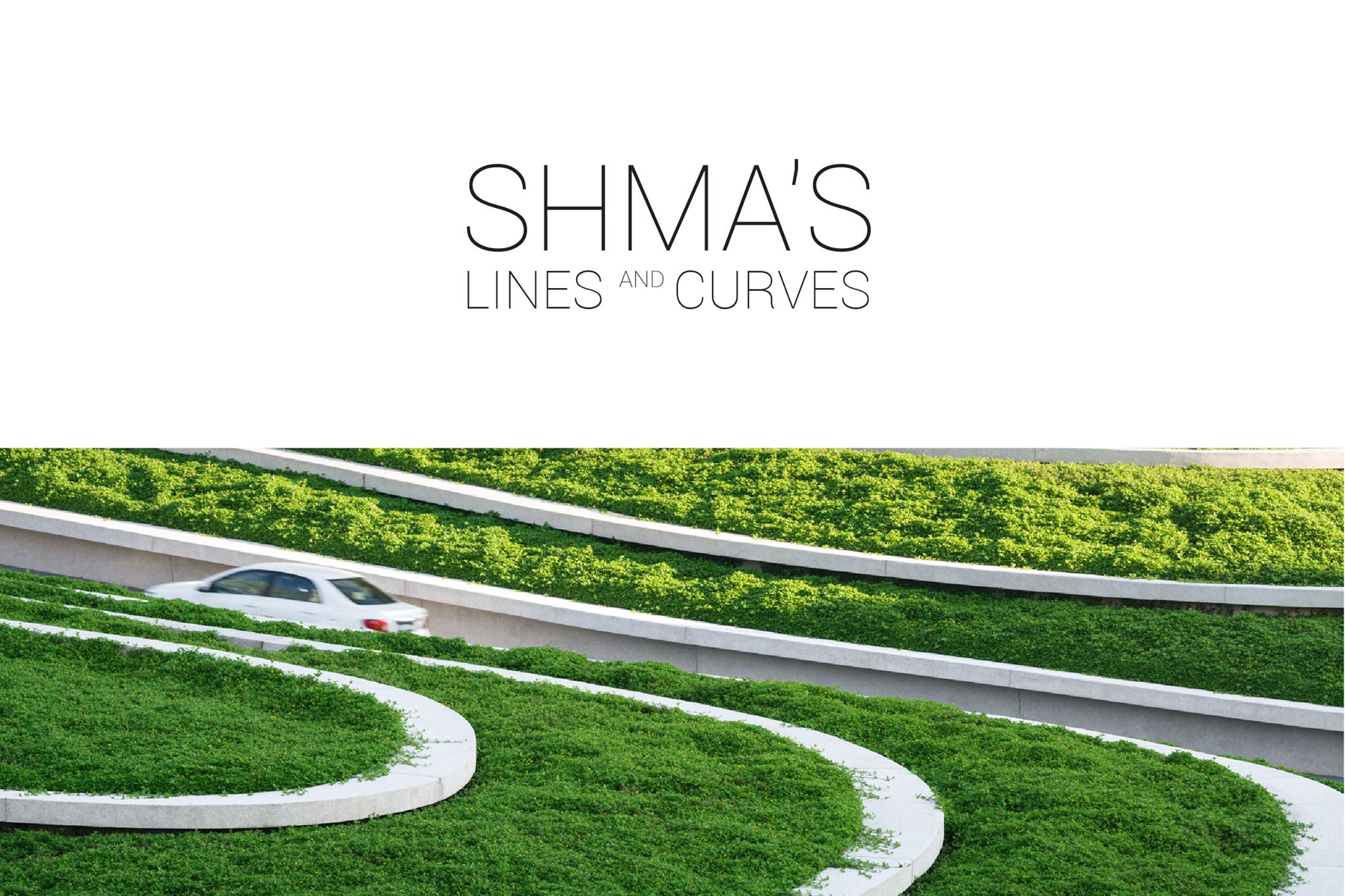 Read more about the article [Project Update] Shma’s Lines and Curves