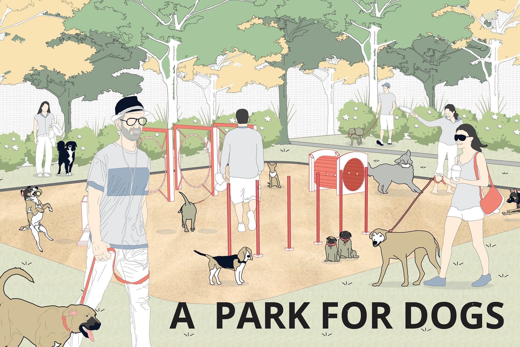 Read more about the article A Park for Dogs