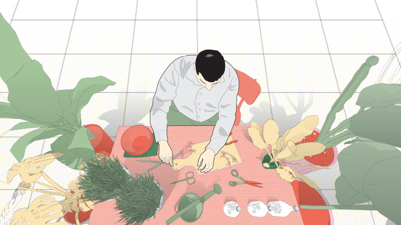 Cover_Plant Propagation