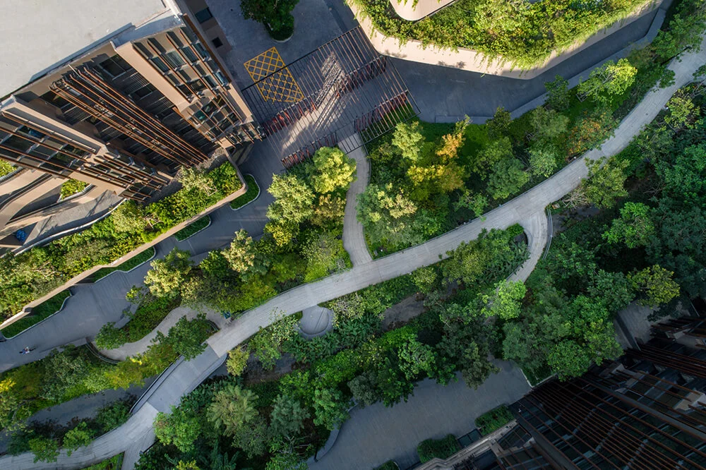 Shma_Jin Wellbeing_Aerial view of the Ravine Forest