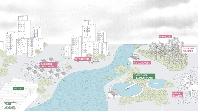 Bioremediation in Landscape Design